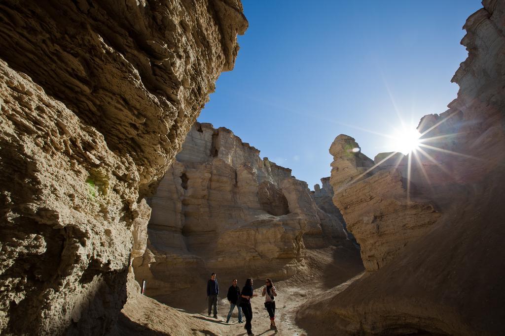 Belfer'S Dead Sea Cabins Neot HaKikar Eksteriør billede