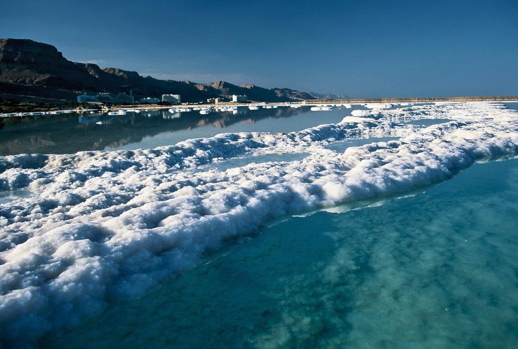 Belfer'S Dead Sea Cabins Neot HaKikar Eksteriør billede